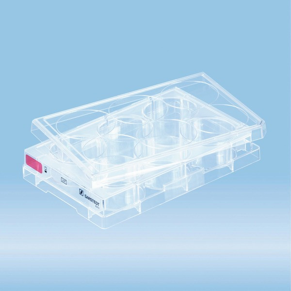 Cell culture plate, 6 well, surface: Standard, flat base