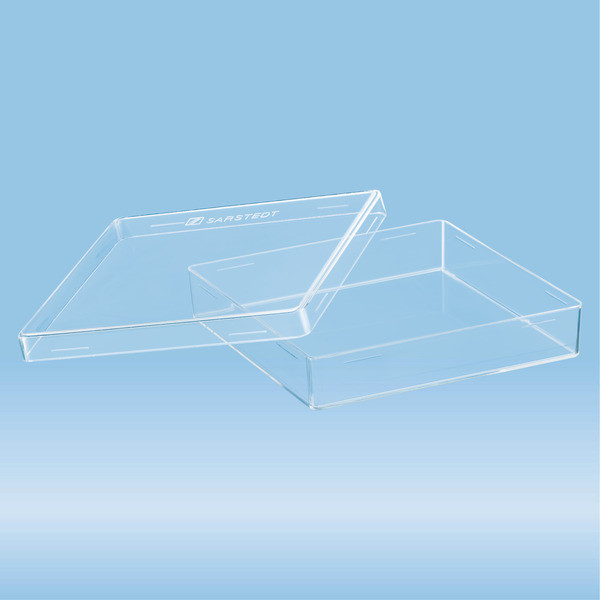 Petri dish, 100 x 100 x 20 mm, transparent, without ventilation cams