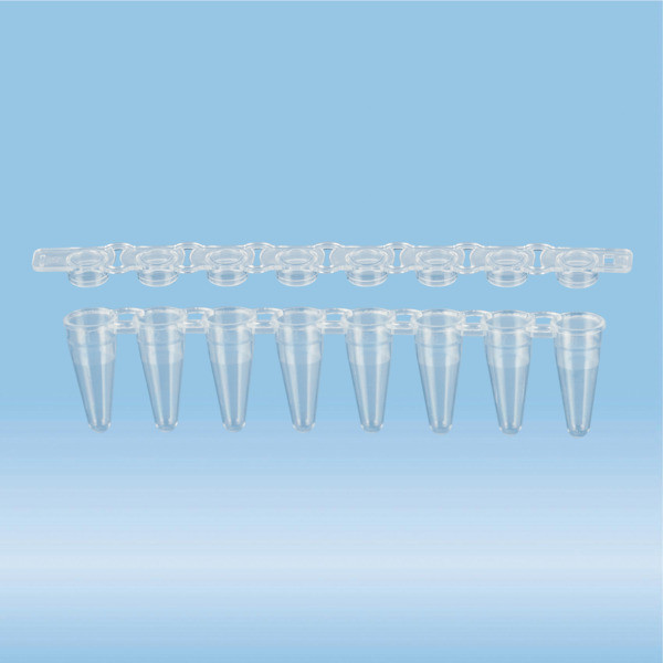 PCR strip of 8, 100 µl, PCR Performance Tested, transparent, PP, flat cap