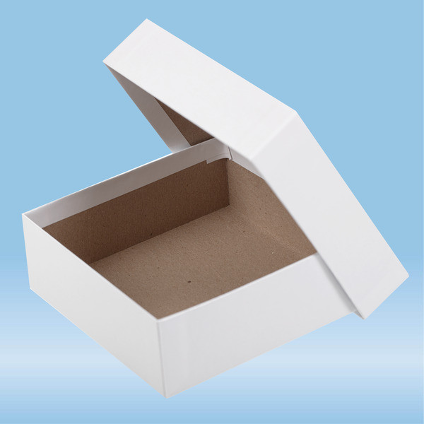 Storage box, slip-on lid, cardboard