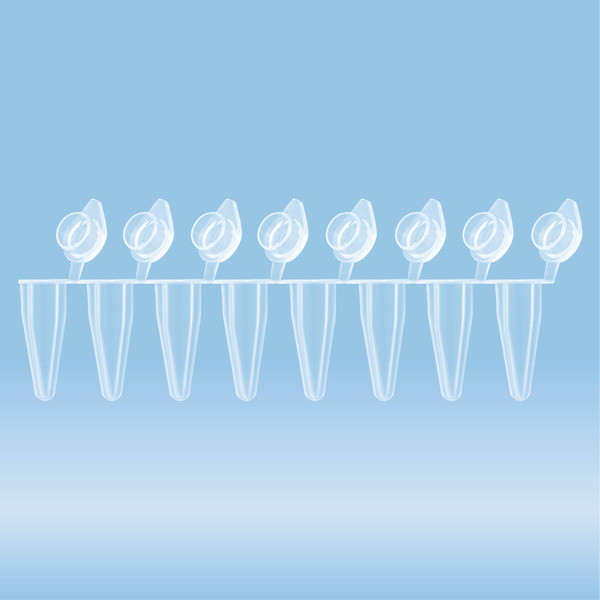 PCR strip of 8, 100 µl, PCR Performance Tested, transparent, PP, flat cap