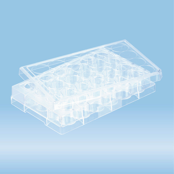 Cell culture plate, 24 well, surface: BIOFLOAT™, flat base