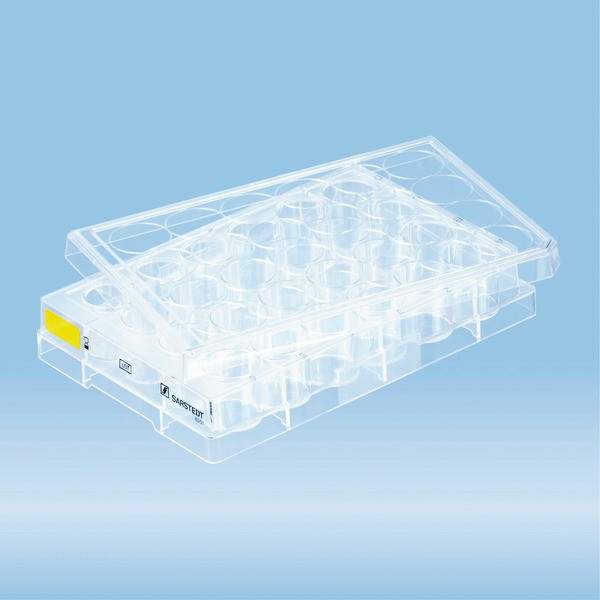 Cell culture plate, 24 well, surface: Cell+, flat base